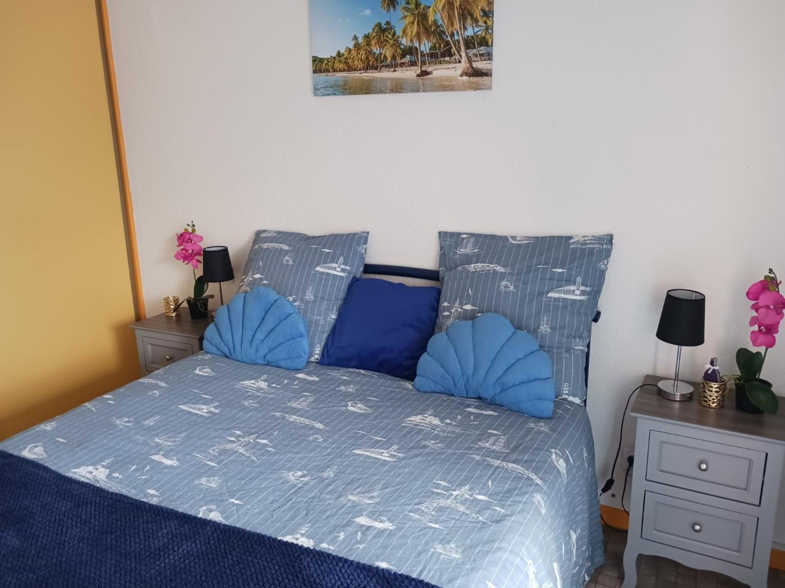 Appartement T2 Vue Mer Et Port,2 Balcons, Parking Prive Canet-en-Roussillon Exteriér fotografie